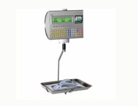 QUEEN ECO VOLO 2